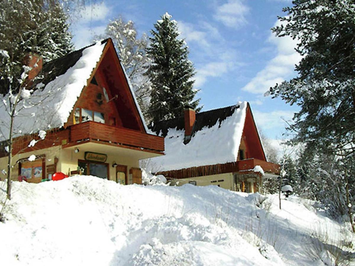 Holiday Home In Jenig Carinthia With Pool المظهر الخارجي الصورة