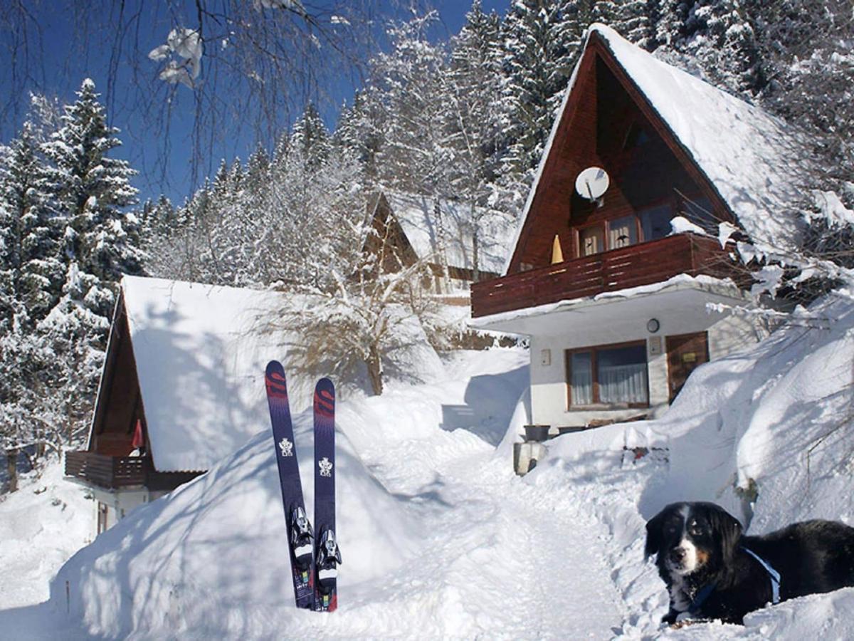 Holiday Home In Jenig Carinthia With Pool المظهر الخارجي الصورة